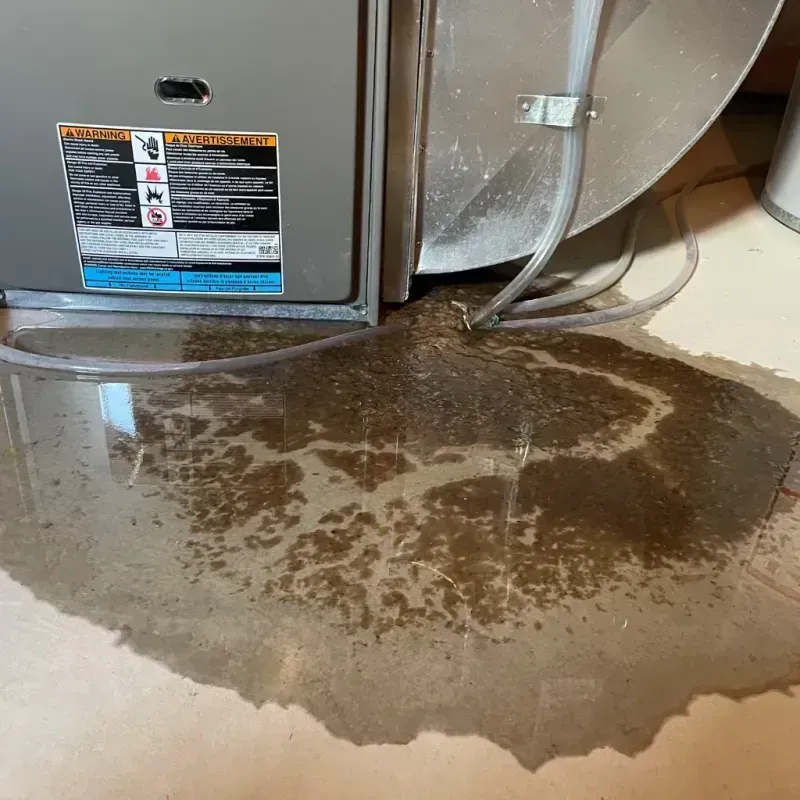 Appliance Leak Cleanup in Mifflinville, PA